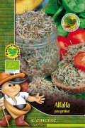 alfalfa-ecologica